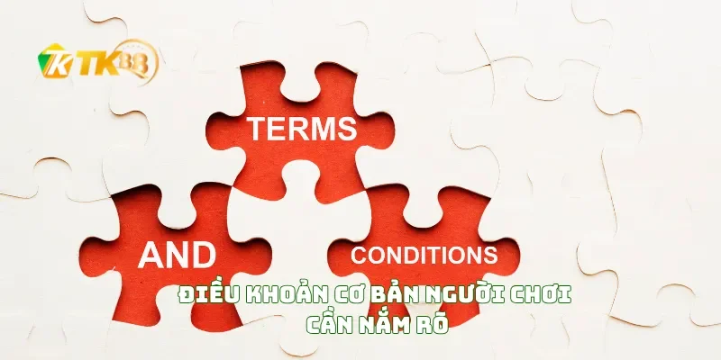Điều khoản điều kiện TK88 2 Điều Khoản Cơ Bản Người Chơi Cần Nắm Rõ