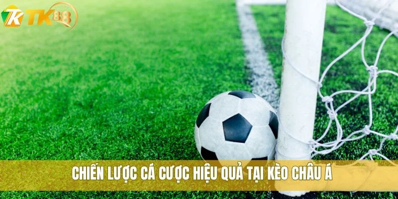 Bật mí mẹo cược kèo châu Á TK88 giúp bạn lãi đều mỗi ngày 2 Chiến lược cá cược hiệu quả tại kèo châu Á