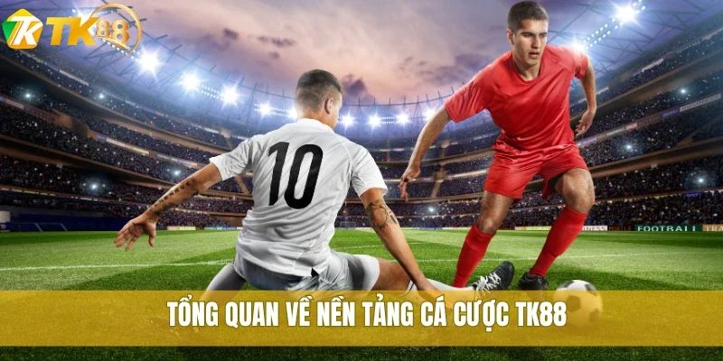Tổng quan về nền tảng cá cược TK88